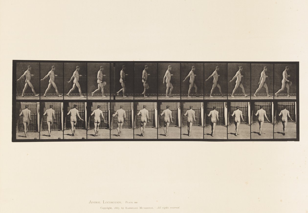 Plaka 389. Çiftçi, Saçılan Tohum, 1872-1885 by Eadweard Muybridge