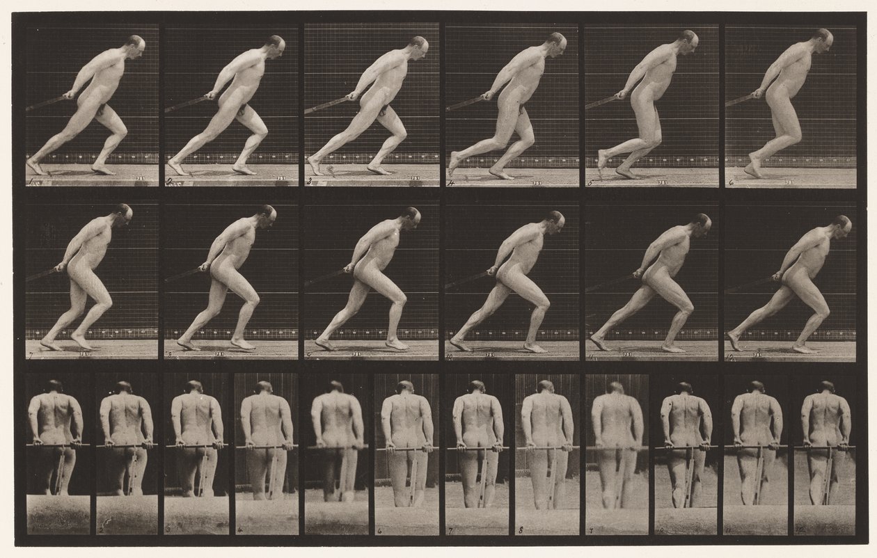 Plaka 392. Bahçe Silindirini Sürüklemek, 1872-1885 by Eadweard Muybridge