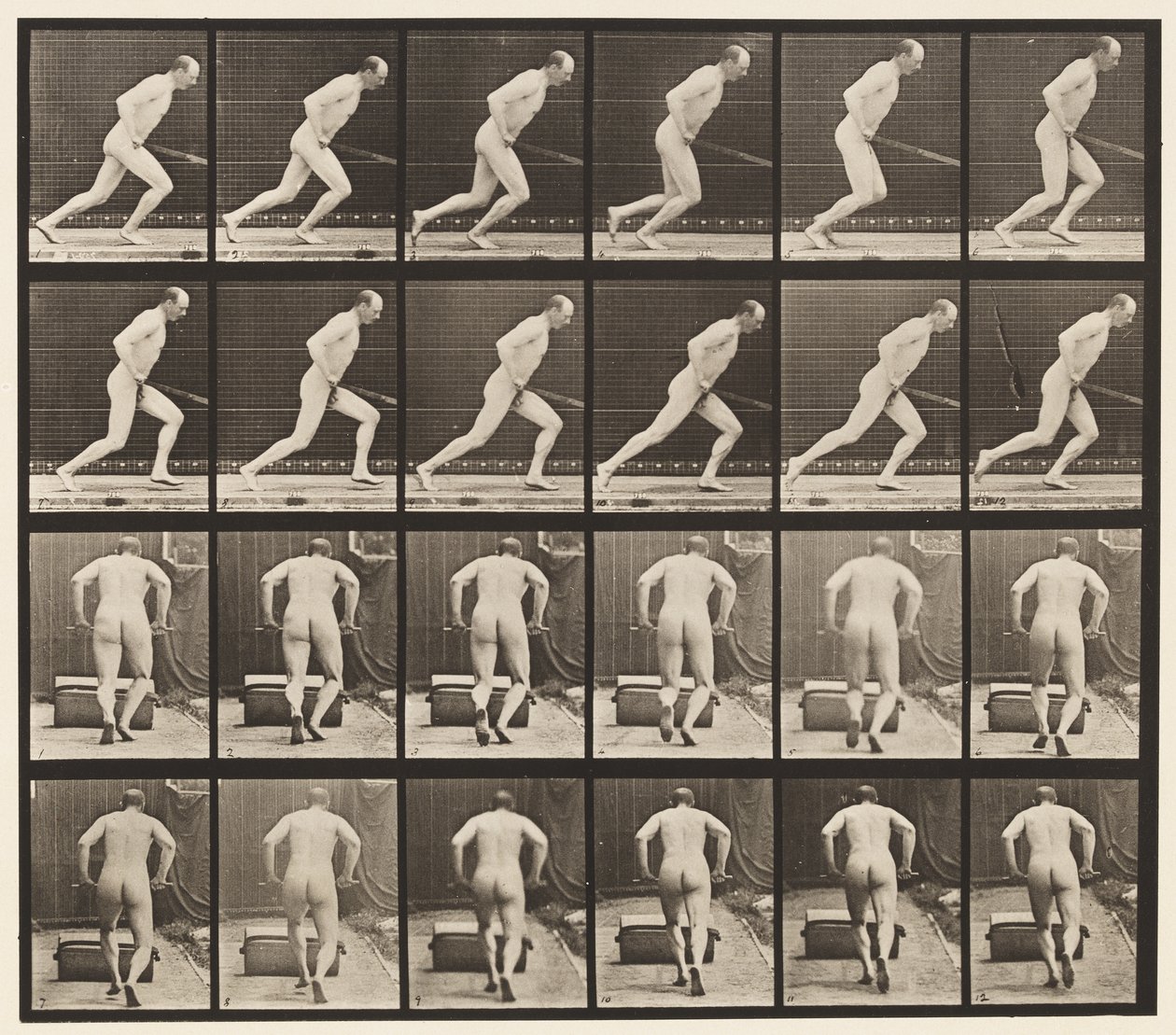 Levha 393. Bahçe Silindirini İtmek, 1872-1885 by Eadweard Muybridge