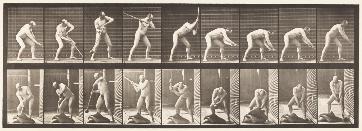 Plaka 396. Tokmakla Vurma by Eadweard Muybridge