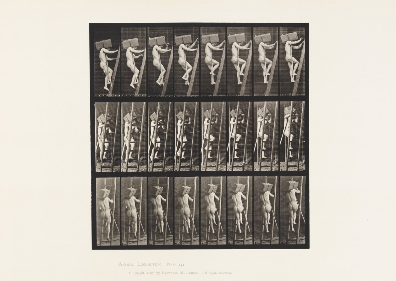 Levha 405. Tuğla Elini Merdivende Taşıma, 1872-1885 by Eadweard Muybridge