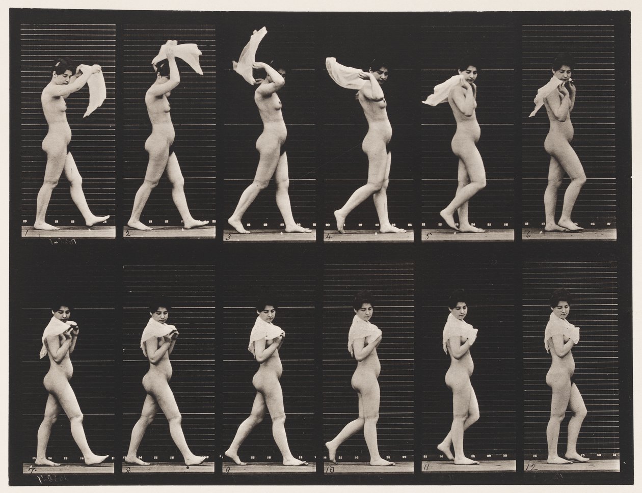 Levha 40. Yürüyüş, Omuza Mendil Fırlatma by Eadweard Muybridge