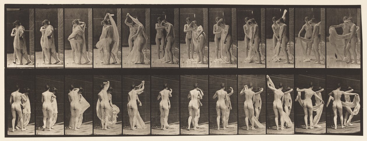 Plaka 428. Tuvalet; İki Model, 1 Soyunma 8, 1872-1885 by Eadweard Muybridge