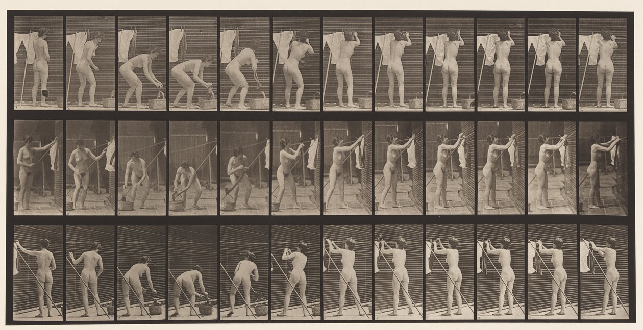Levha 434. Hatta Asılan Giysiler, 1872-1885 by Eadweard Muybridge