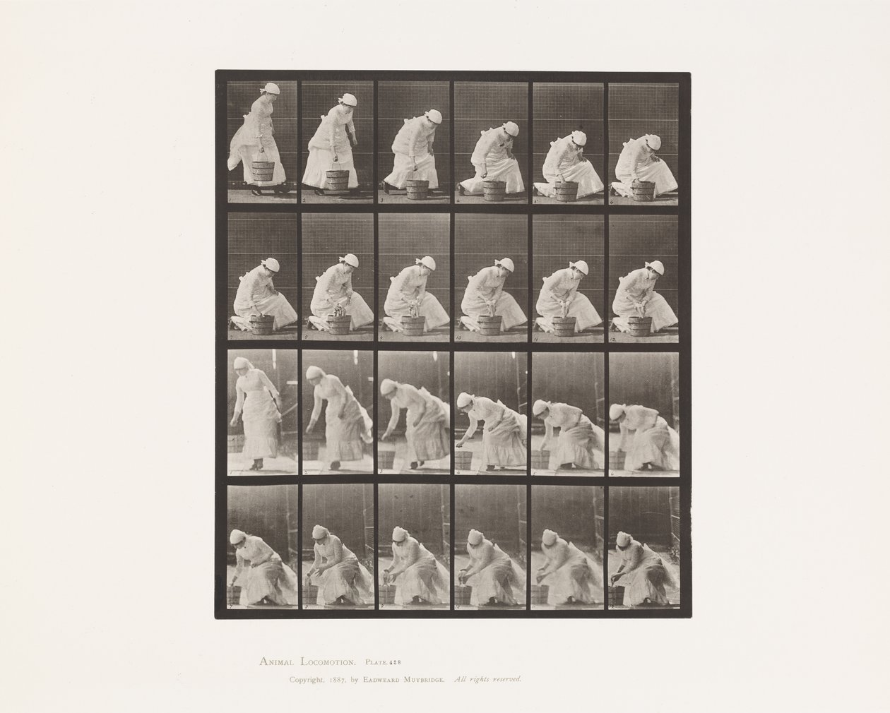 Plaka 438. Kovayı Yerleştirme ve Fırçalamaya Hazırlanma, 1885 by Eadweard Muybridge