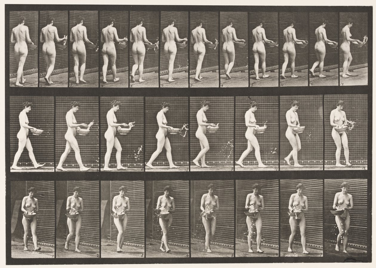 Levha 43. Yürüyüş, Havzadan Su Serpme, Dönme by Eadweard Muybridge