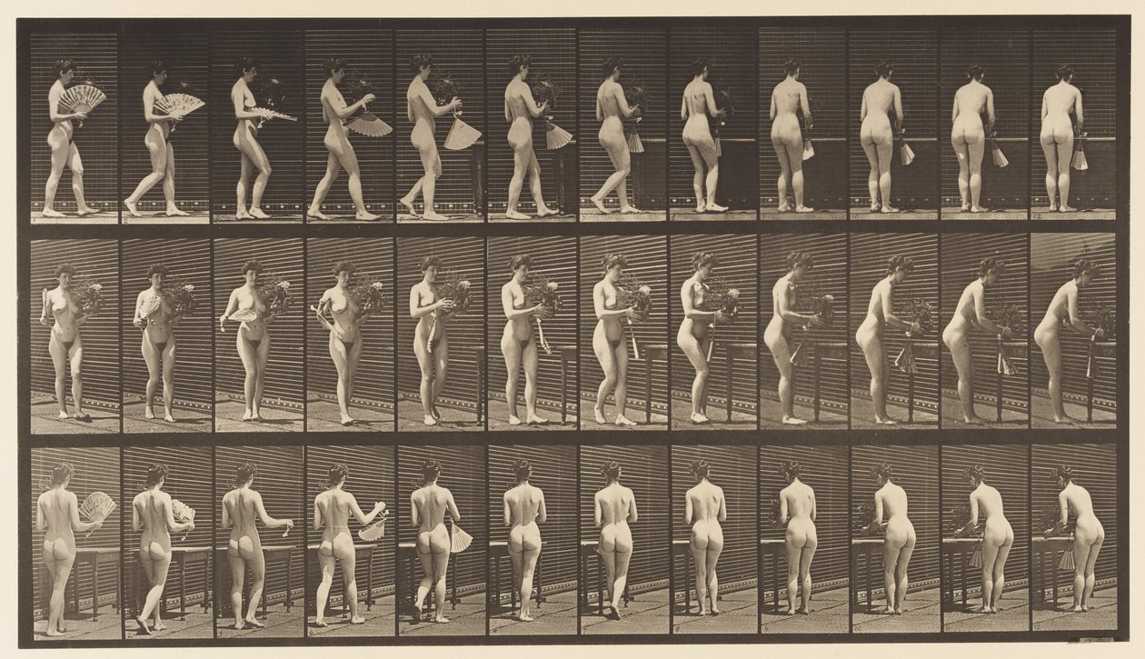 Levha 441. Vazo Taşıma ve Masaya Yerleştirme, 1872-1885 by Eadweard Muybridge