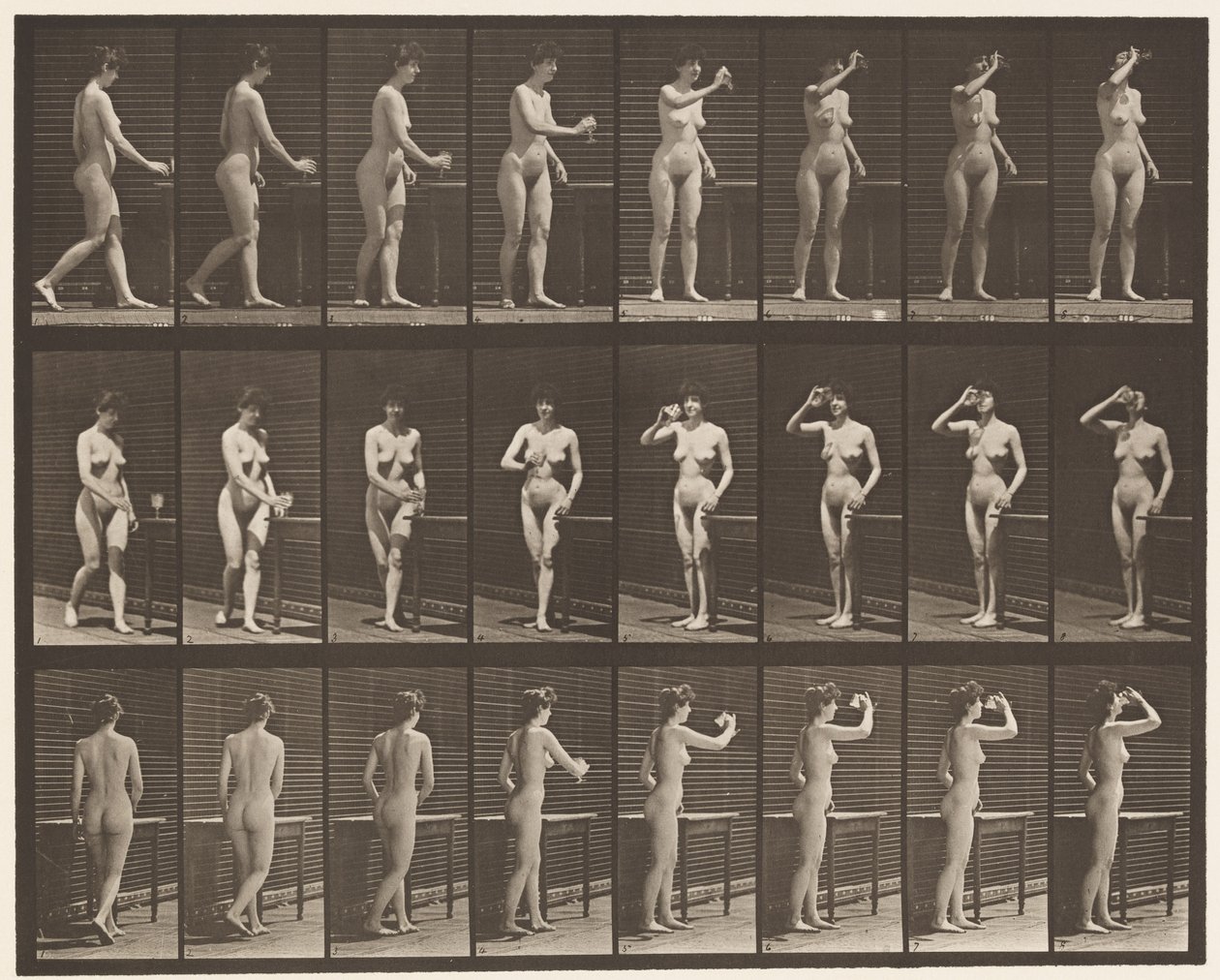 Plaka 443. Ayakta Kadeh İçmek by Eadweard Muybridge