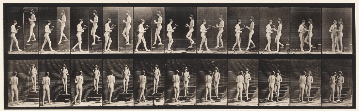 Plaka 448. İki model by Eadweard Muybridge
