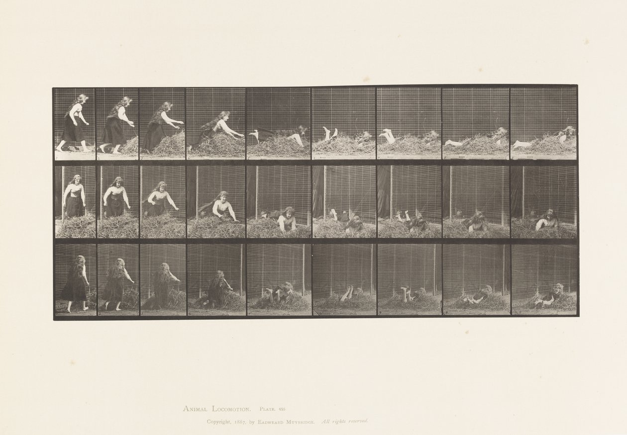 Plaka 455. Kendini Saman Yığınına Fırlatma by Eadweard Muybridge