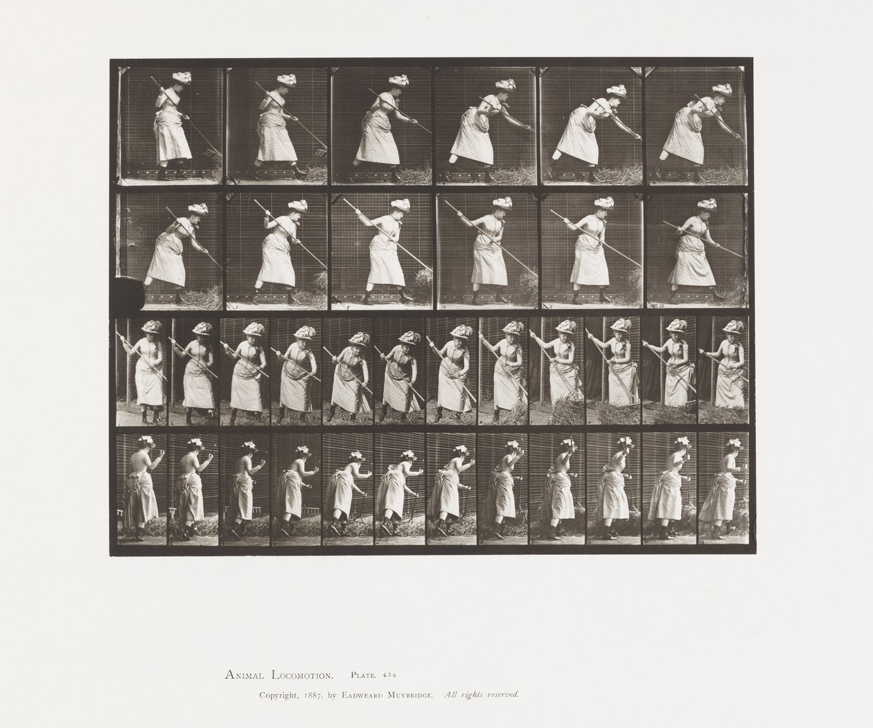Plaka 456. Sıralama, 165 by Eadweard Muybridge