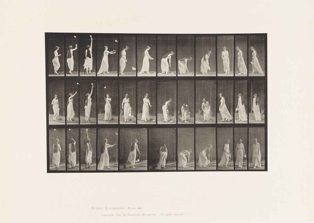 Plaka 463. Uzanma, Eğilme ve Dönme, 1885 by Eadweard Muybridge