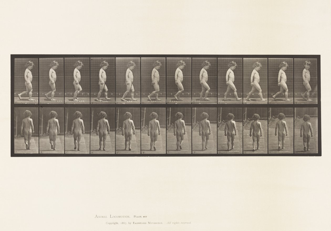 Plaka 467. Çocuk, Yürüyüş, 1885 by Eadweard Muybridge