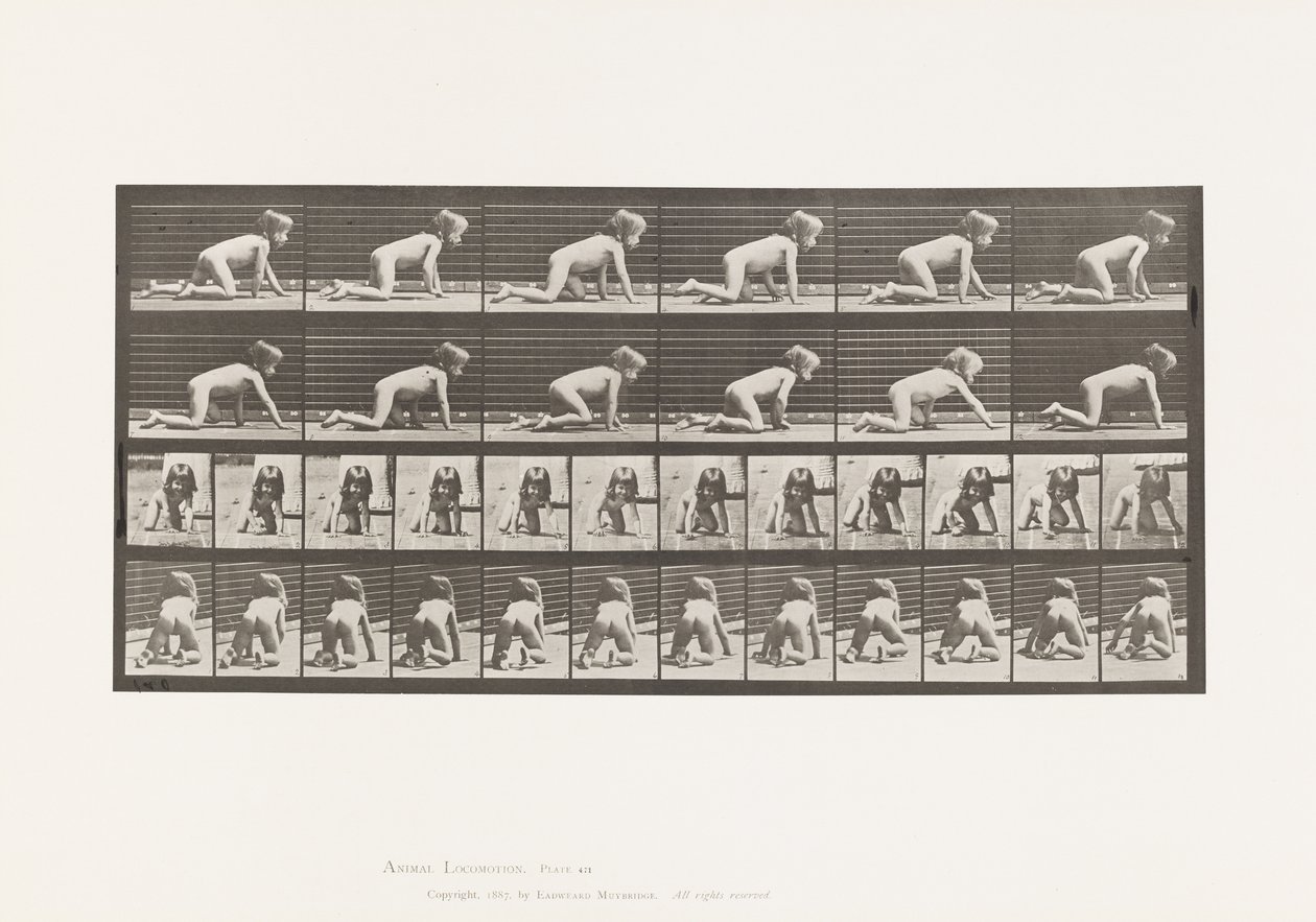 Levha 471. Elinde ve Dizlerinde Emekleyen Çocuk, 1885 by Eadweard Muybridge