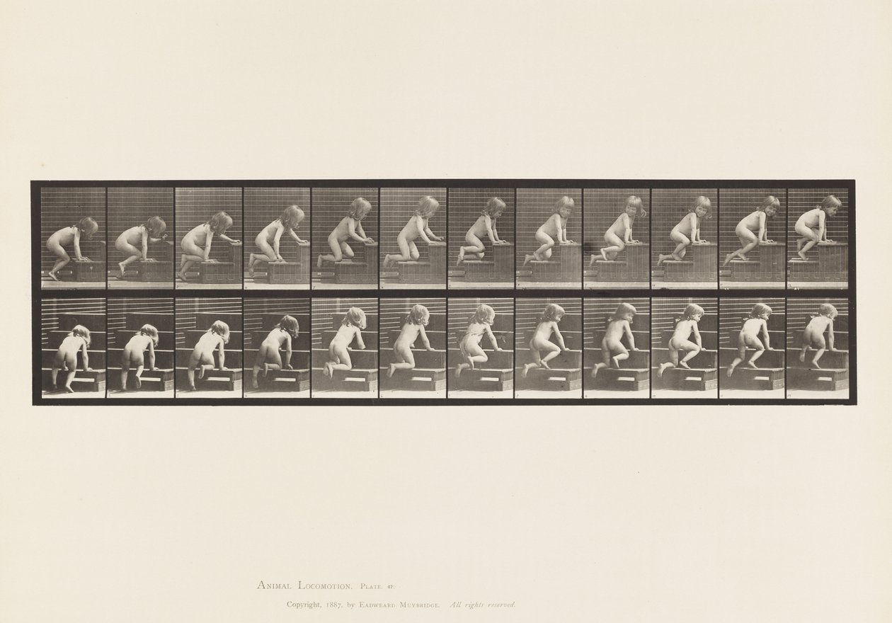 Levha 472.Çocuk, Üst Katta Emekleyen, 1885 (kağıt üzerinde kolotip) by Eadweard Muybridge