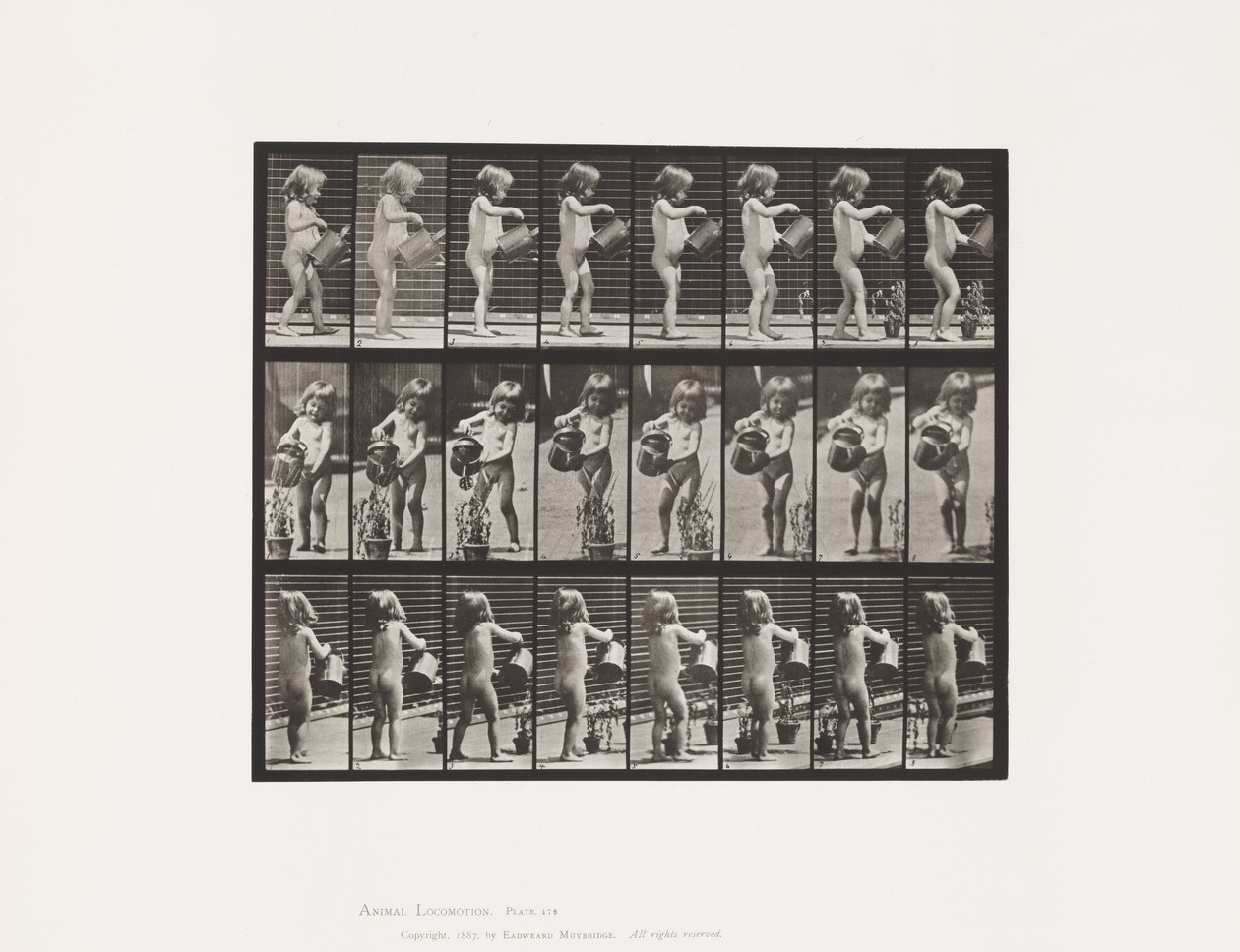 Levha 478.Çocuk, Bazı Çiçeklerin Üzerine Su Serpme, 1885 by Eadweard Muybridge