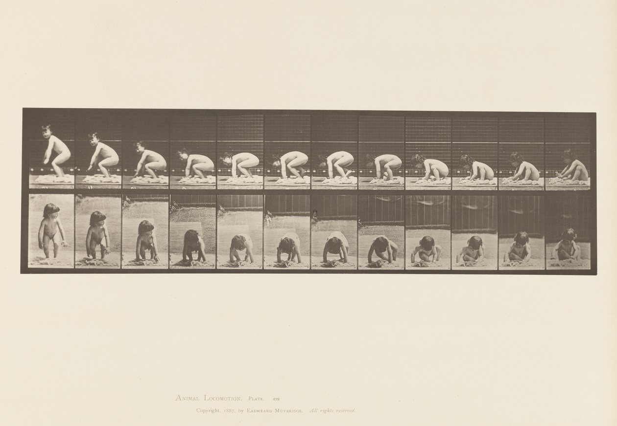 Plaka 479. Çocuk, Yerden Kalkıyor by Eadweard Muybridge