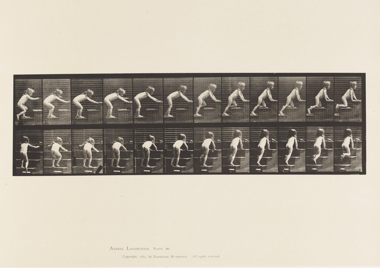 Plaka 480. Çocuk, Üst Katta Yürüyen ve Emekleyen by Eadweard Muybridge