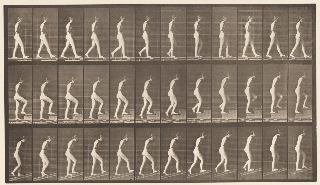 Plaka 482. A, Yürüyüş; B, Yükselen Merdivenler; C, Yükselen Eğim, 1872-1885 by Eadweard Muybridge