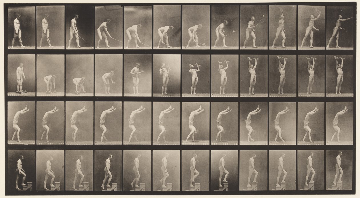Plaka 488. A, Çim Tenisi; B, Aptal Çanlar; C, Eller Üzerinde Yürümek;, 1872-1885 by Eadweard Muybridge