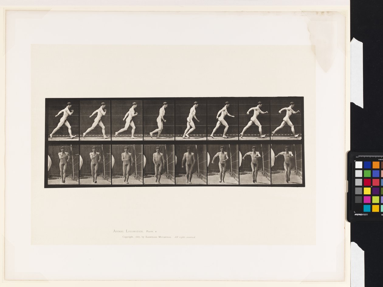 Plaka 4. Yürüyüş by Eadweard Muybridge