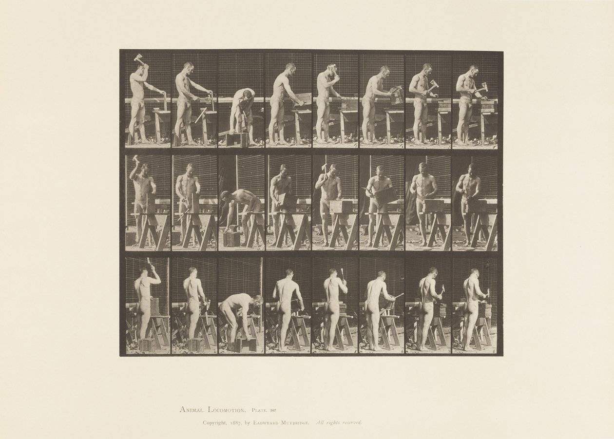 Plaka 507. Marangozluk by Eadweard Muybridge