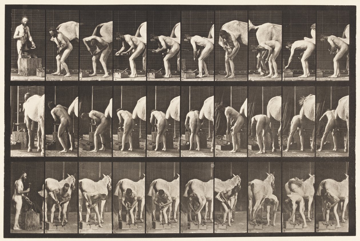 Plaka 508. Atı Pabuçlamak by Eadweard Muybridge