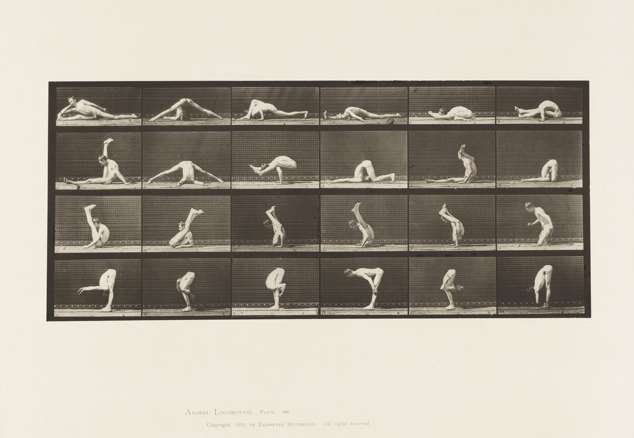 Levha 510. Yerdeki Bükülmeler, 1872-1885 by Eadweard Muybridge