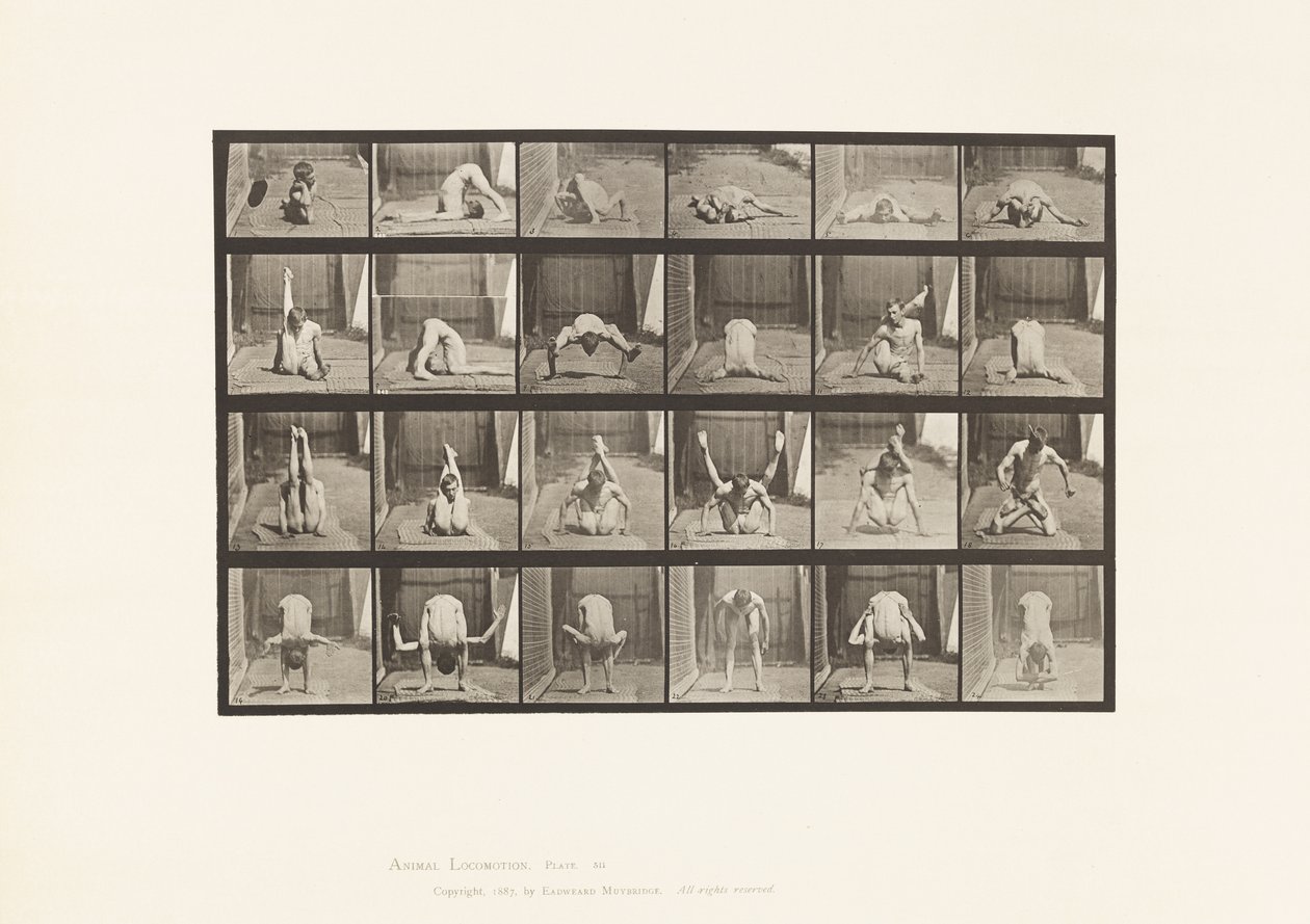 Plaka 511. Yerdeki Bükülmeler by Eadweard Muybridge