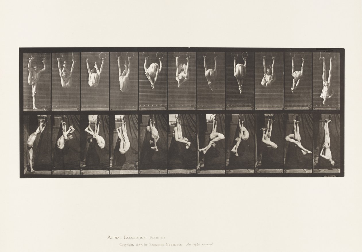 Plaka 512. Halkalarda Bükülmeler by Eadweard Muybridge