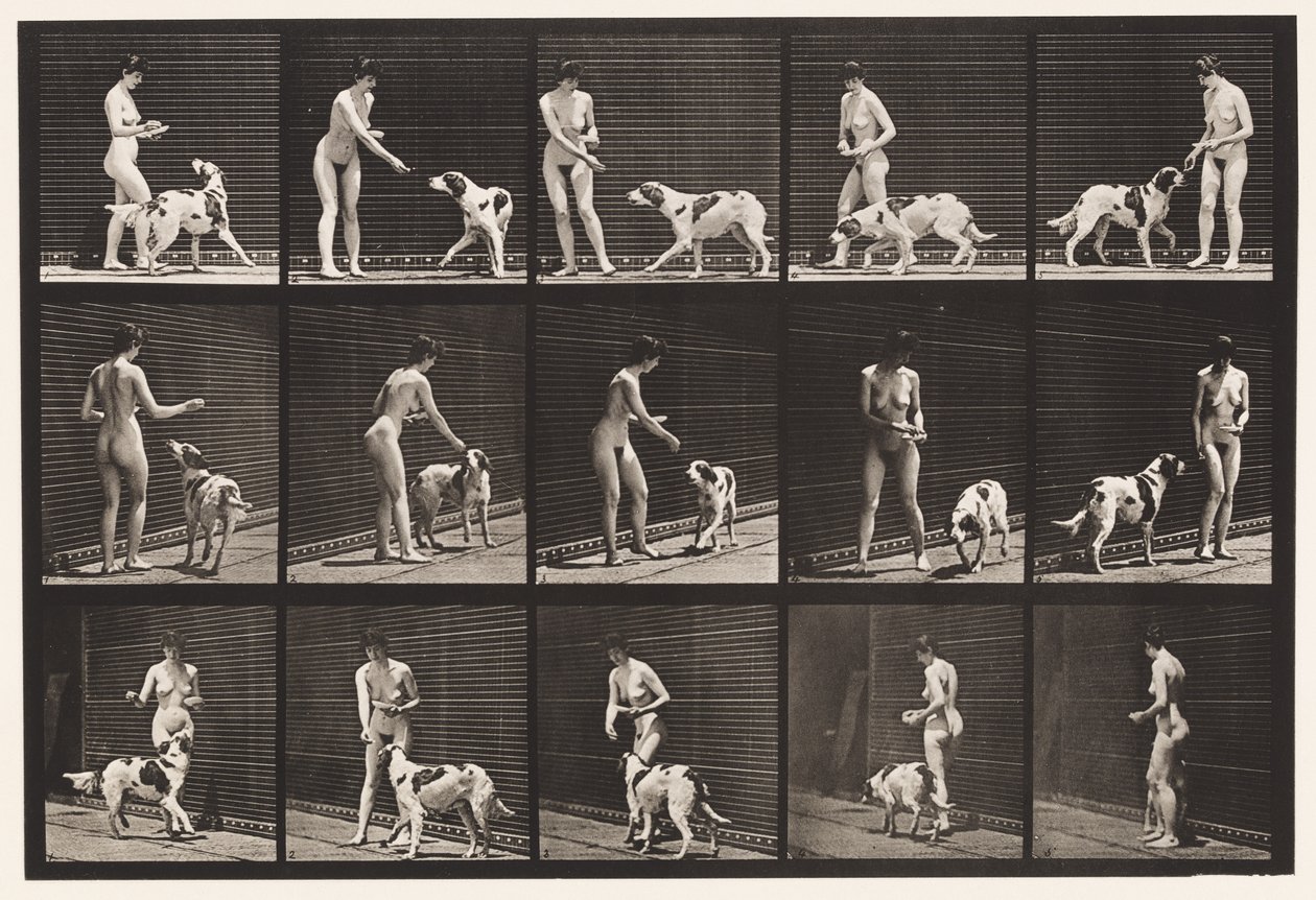 Plaka 514. Köpek Besleme by Eadweard Muybridge