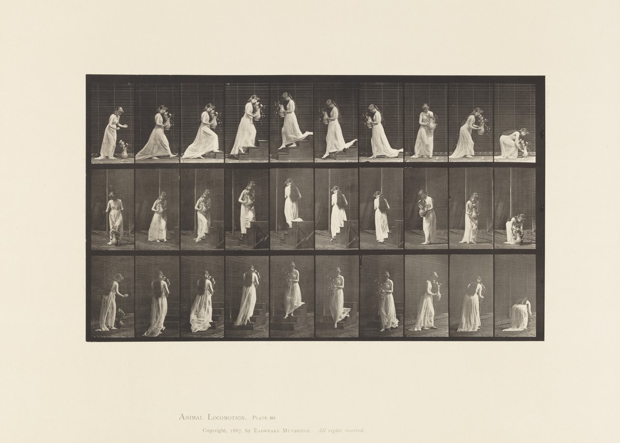 Plaka 515. Çıkan ve Azalan Merdivenler vb., 1885 by Eadweard Muybridge