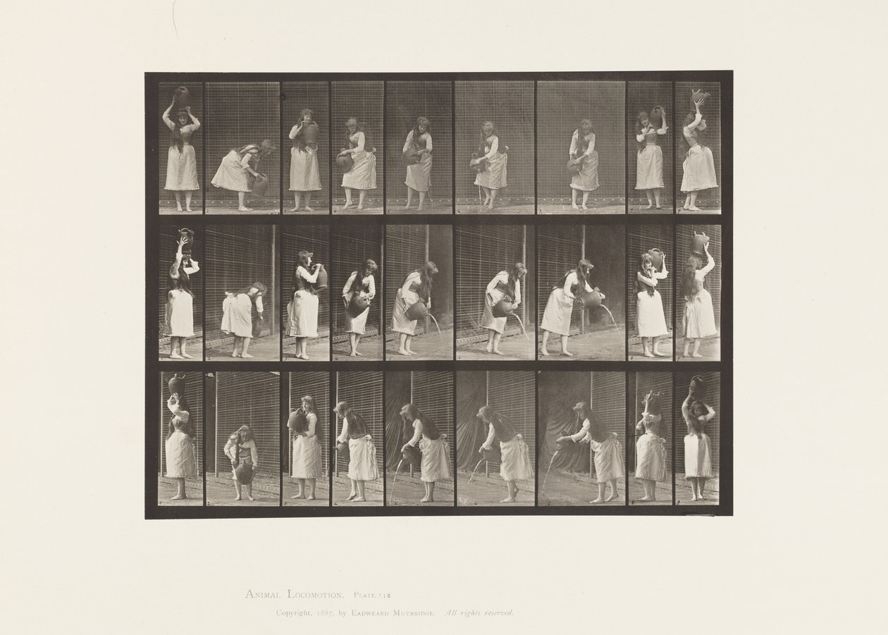 Plaka 516. Su Kavanozu ile Çeşitli Hareketler by Eadweard Muybridge