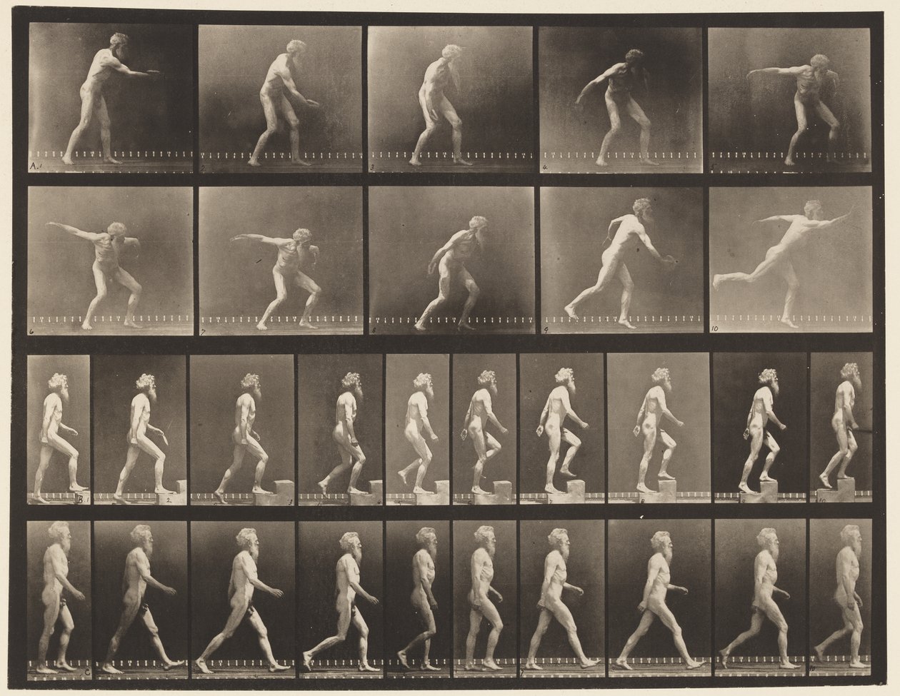 Plaka 519. A, Fırlatma Diski; B, Artan Adımlar; C, Yürüyüş., 1872-1885 by Eadweard Muybridge