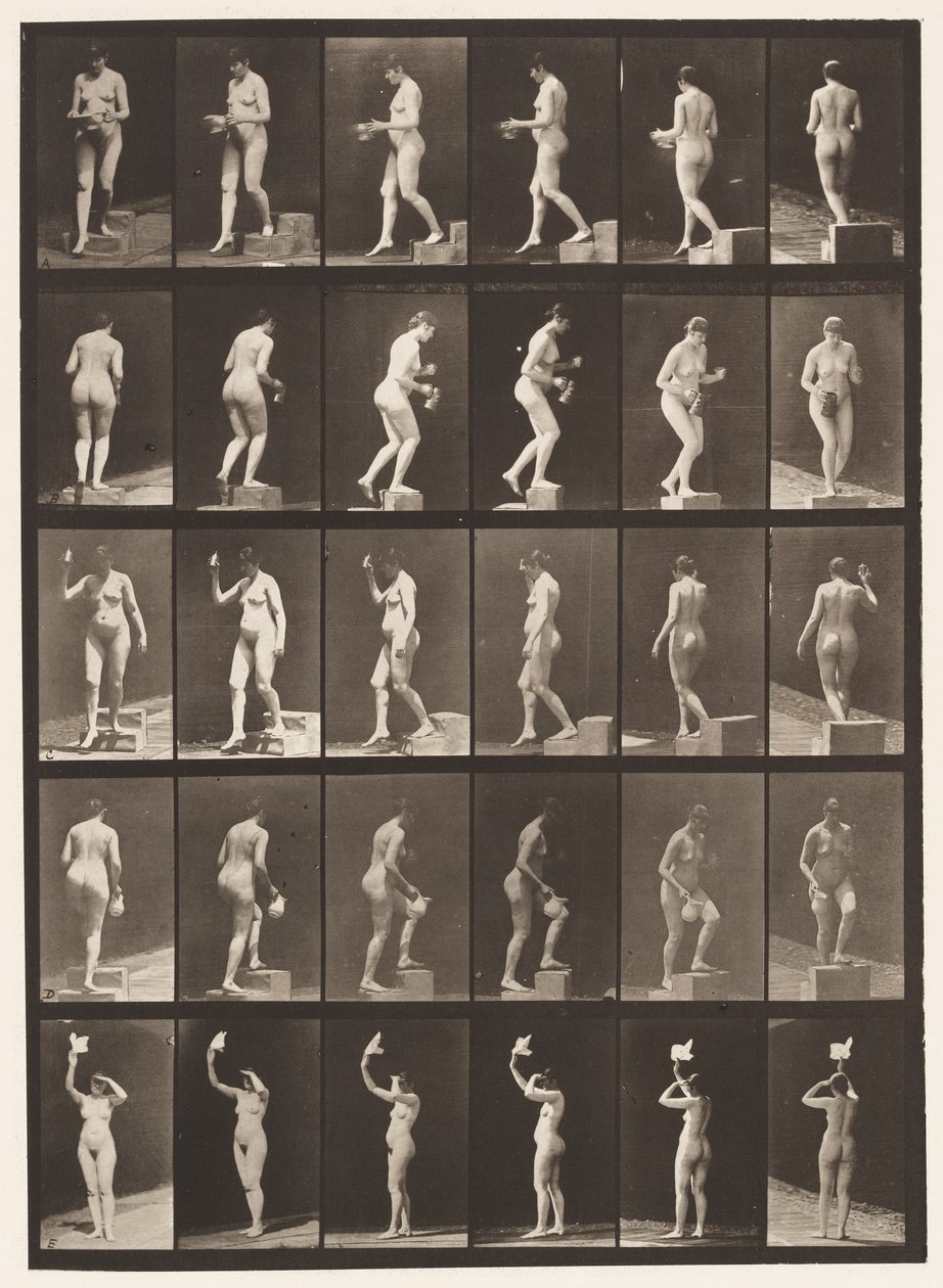 Plaka 525. A, Azalan Basamak; B, Yükselen Adım;, 1872-1885 by Eadweard Muybridge