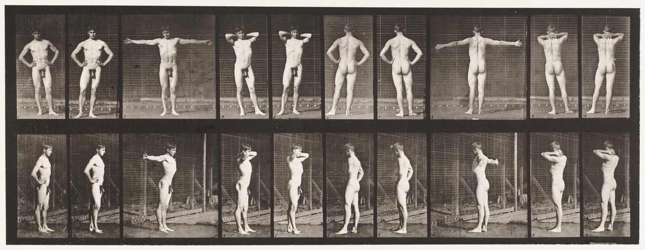 Plaka 529. Çeşitli Pozlar by Eadweard Muybridge