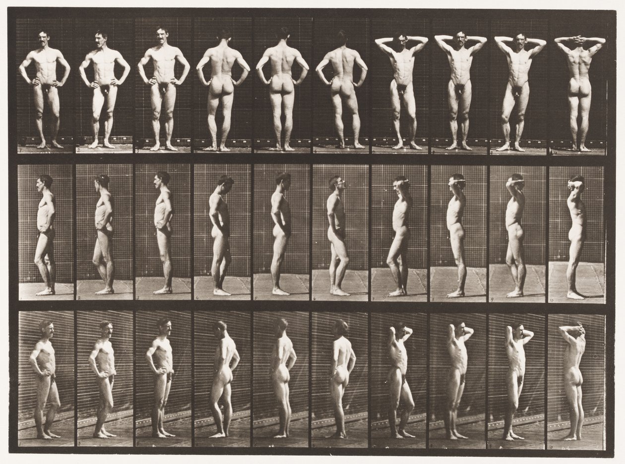 Plaka 530. Çeşitli Pozlar by Eadweard Muybridge