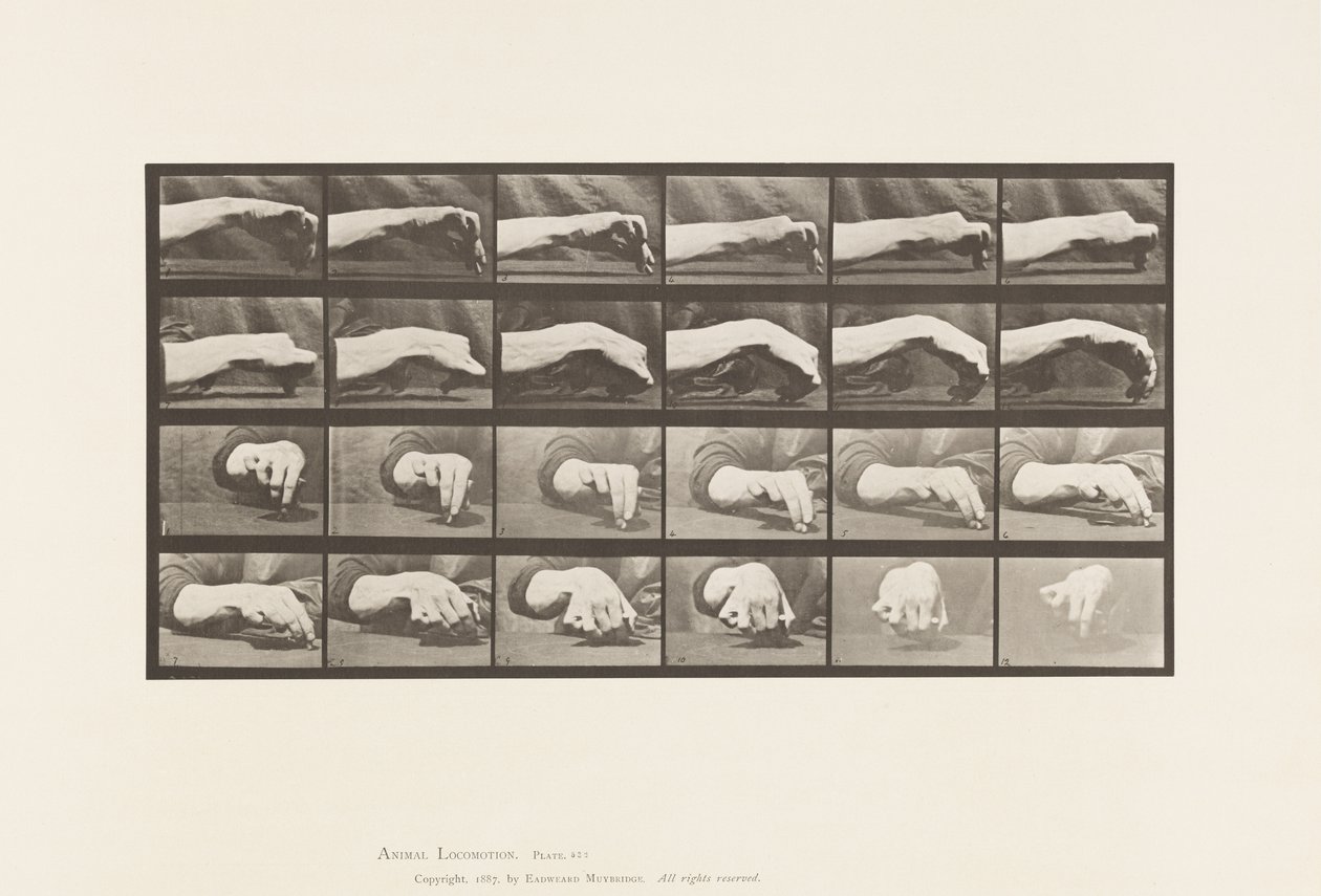 Plaka 532.El Hareketi; Daire Çizmek, 1885 by Eadweard Muybridge