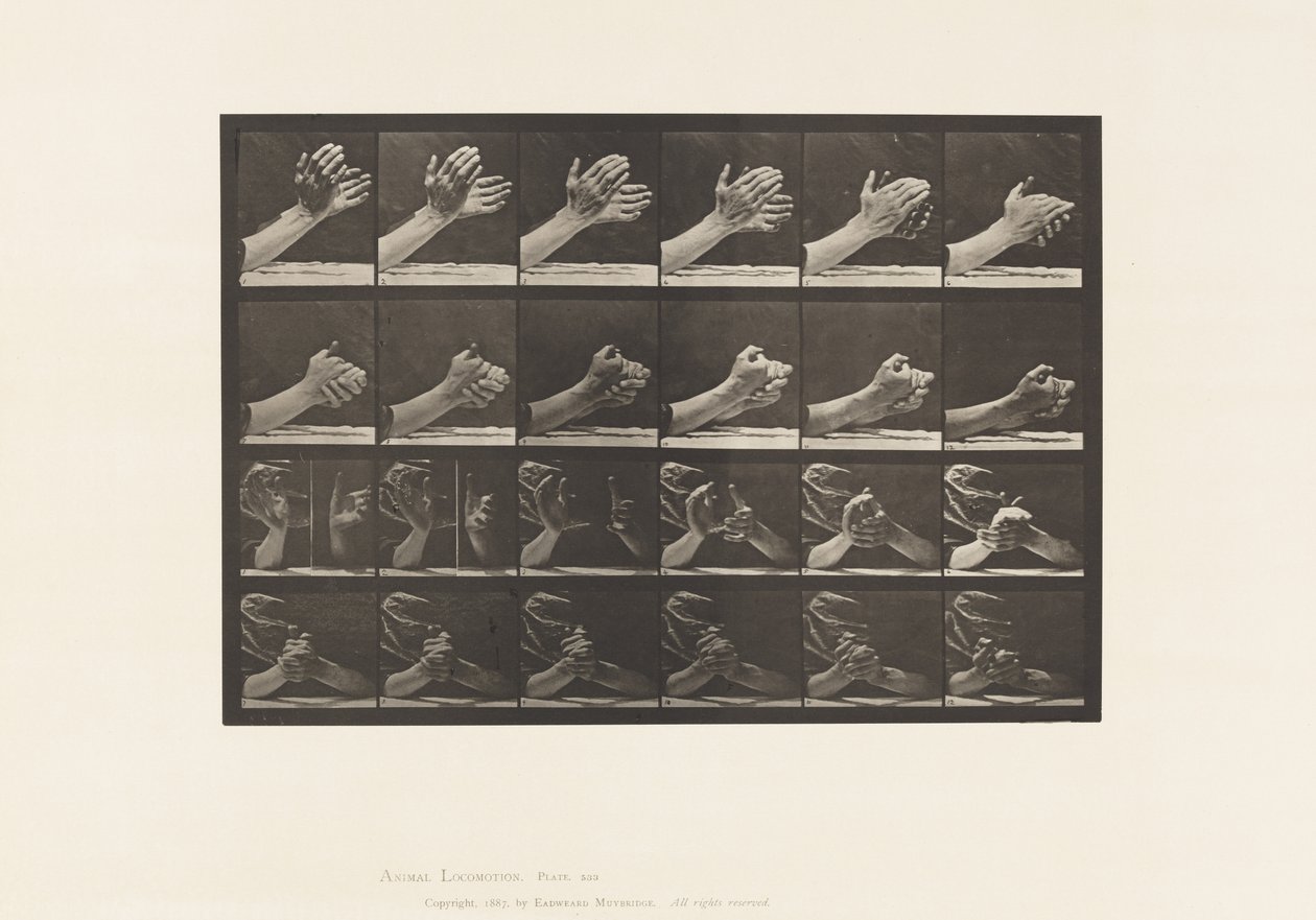 Plaka 533. El Hareketi; Sıkışan Eller, 1885 by Eadweard Muybridge