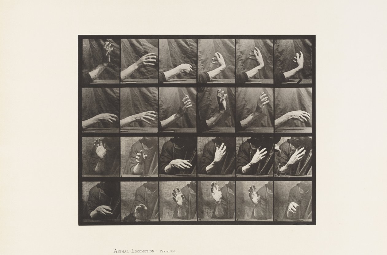 Plaka 535. El Hareketi; Dayak Zamanı, 1885 by Eadweard Muybridge