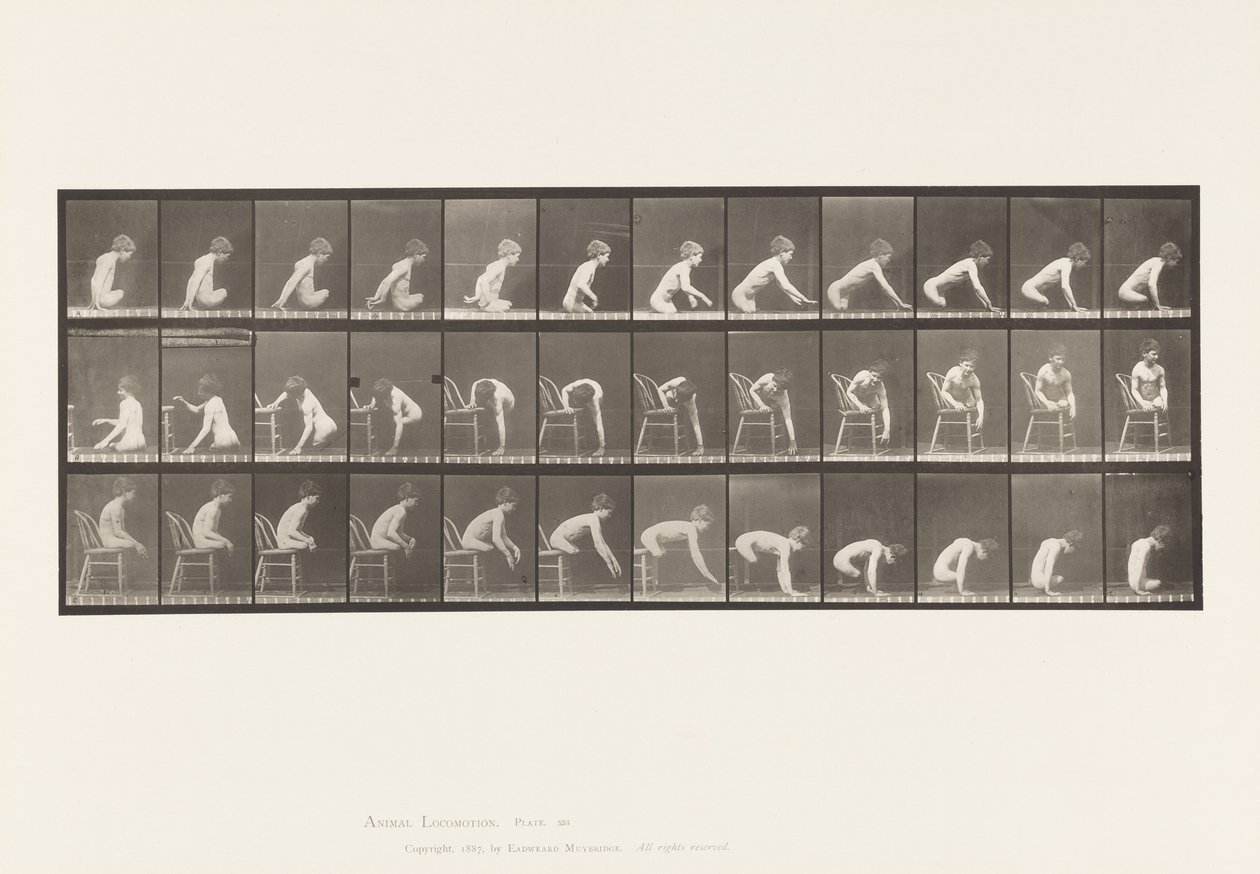 Plaka 538. Uylukların Çift Amputasyonu; Oğlan; A, İlerlemek by Eadweard Muybridge