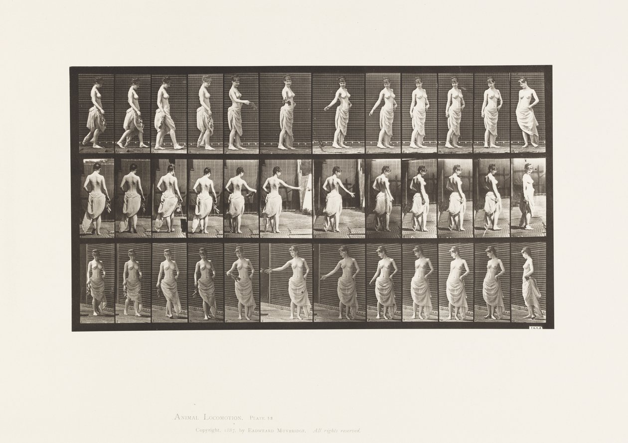 Plaka 53. Yürüme, Çiçekleri Saçma ve Dönme Hareketi by Eadweard Muybridge