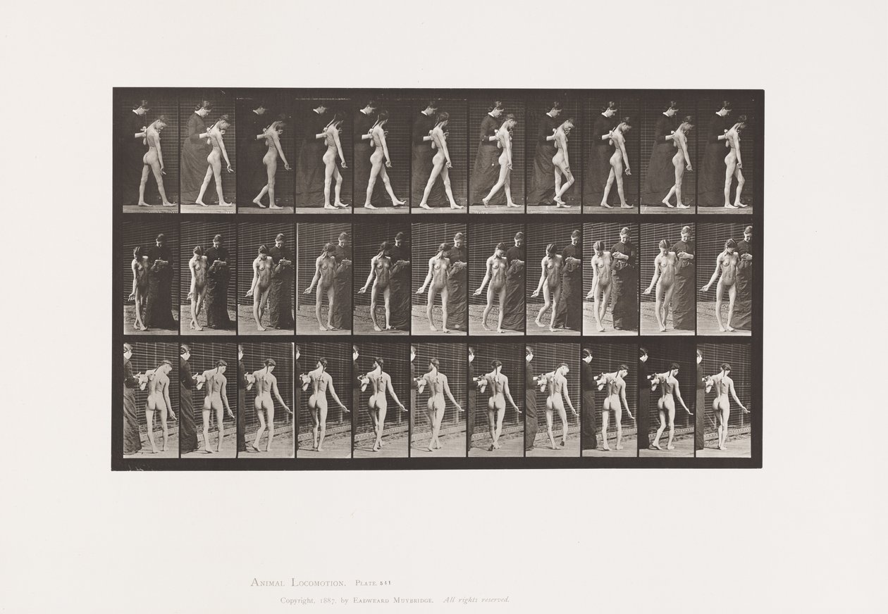Plaka 541. Multipl Serebro-Spinal Skleroz (Koreik); Yürüme by Eadweard Muybridge
