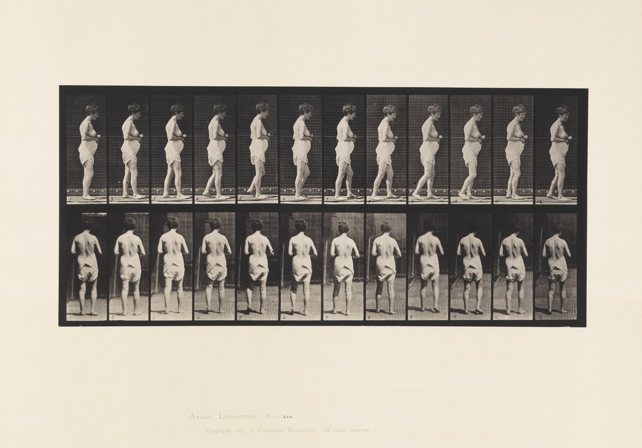 Plaka 542. Multipl Serebro-Spinal Skleroz - Yürüyüş by Eadweard Muybridge