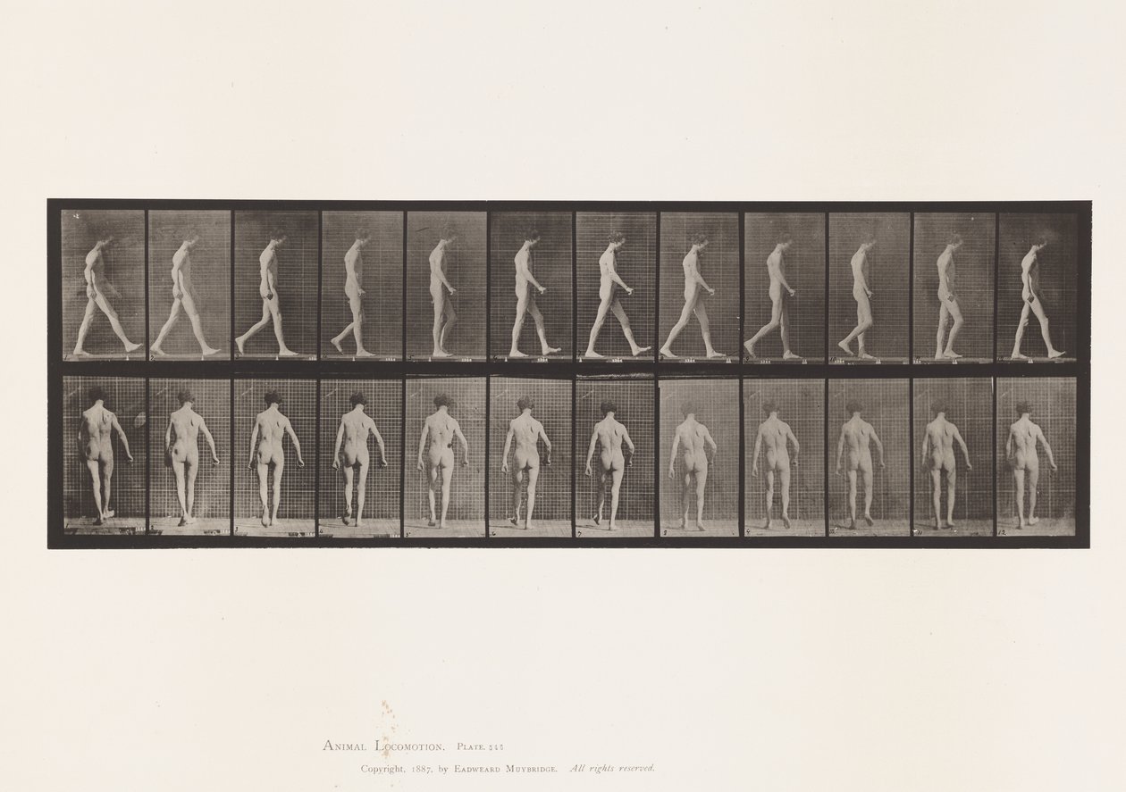 Plaka 546. Lokomotor Ataksi; Yürüyüş, 1885 by Eadweard Muybridge