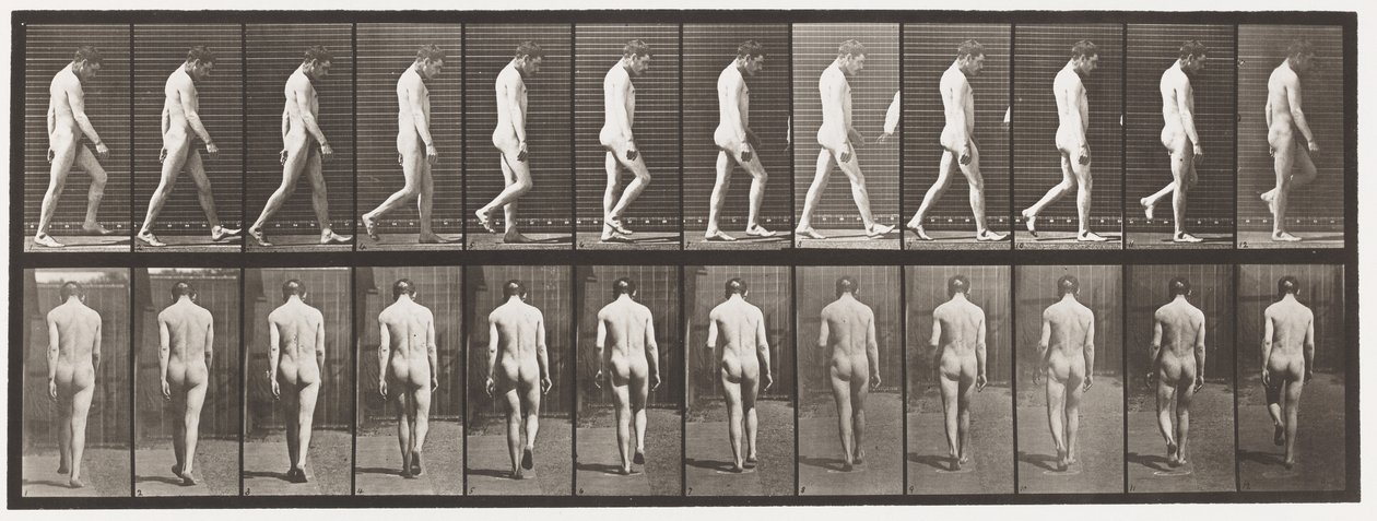 Plaka 549. Epilepsi; Yürüyüş, 1885 by Eadweard Muybridge