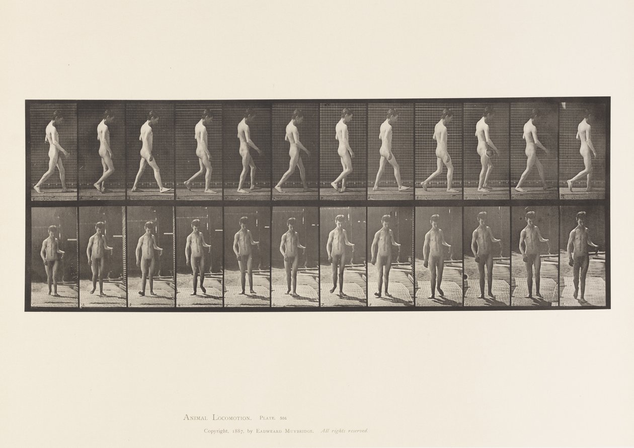 Plaka 551.Epilepsi; Yürüyüş, 1885 by Eadweard Muybridge