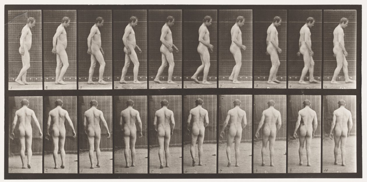 Plaka 553. Kafa Travmalarından Sonra; Yürüyüş, 1885 by Eadweard Muybridge