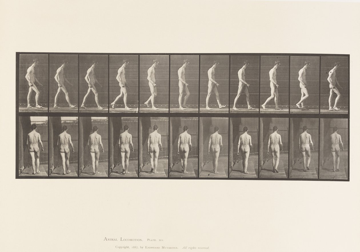 Plaka 554. Lokomotor Ataksi; Yürüyüş, 1885 by Eadweard Muybridge