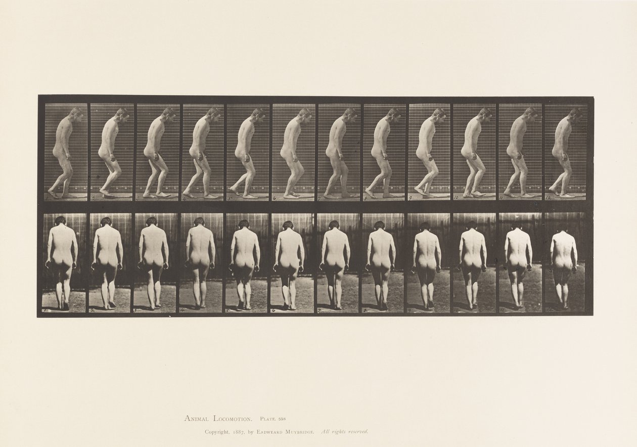 Plaka 558.Parapleji; Kısmi; Yürüyüş, 1885 by Eadweard Muybridge
